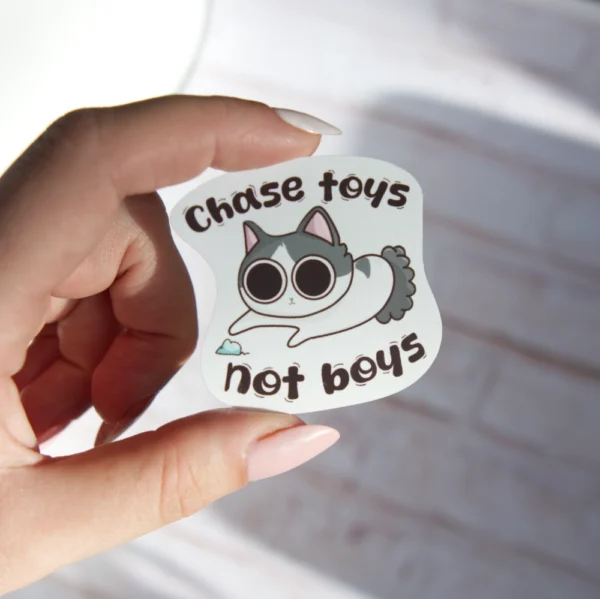 Chase Toys, Not Boys