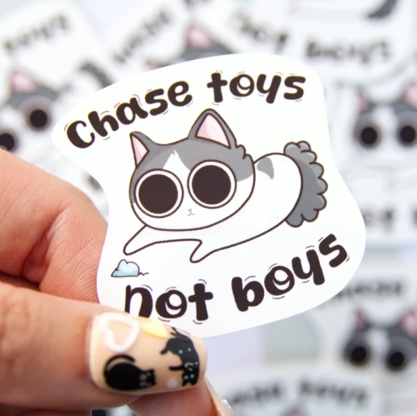 Chase Toys, Not Boys - Image 3