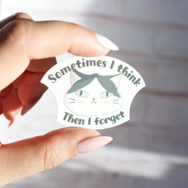 Sometimes I think Sticker