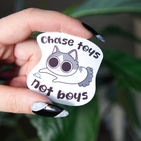 Chase Toys, Not Boys - Image 3